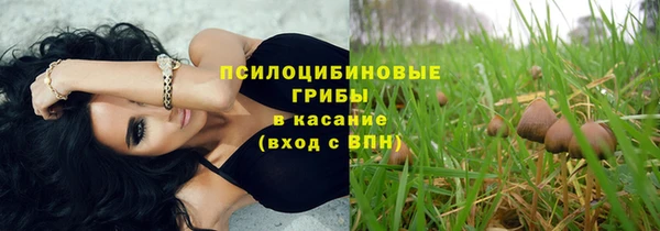 прущие крисы Абаза