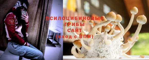 прущие крисы Абаза
